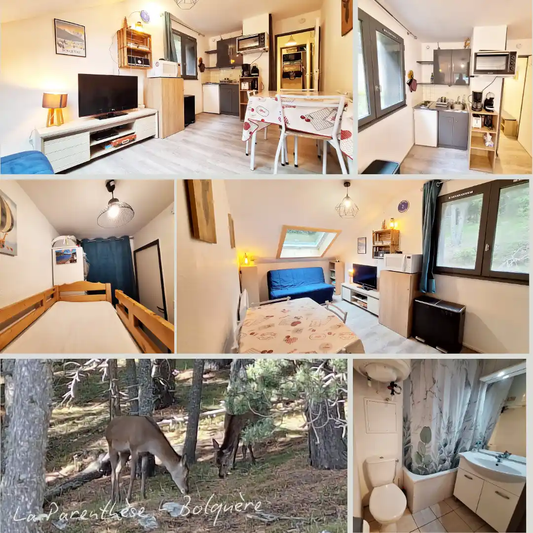 Appartement situé à 100 mètres à pied des pistes de ski à Font-Romeu Pyrénées 2000